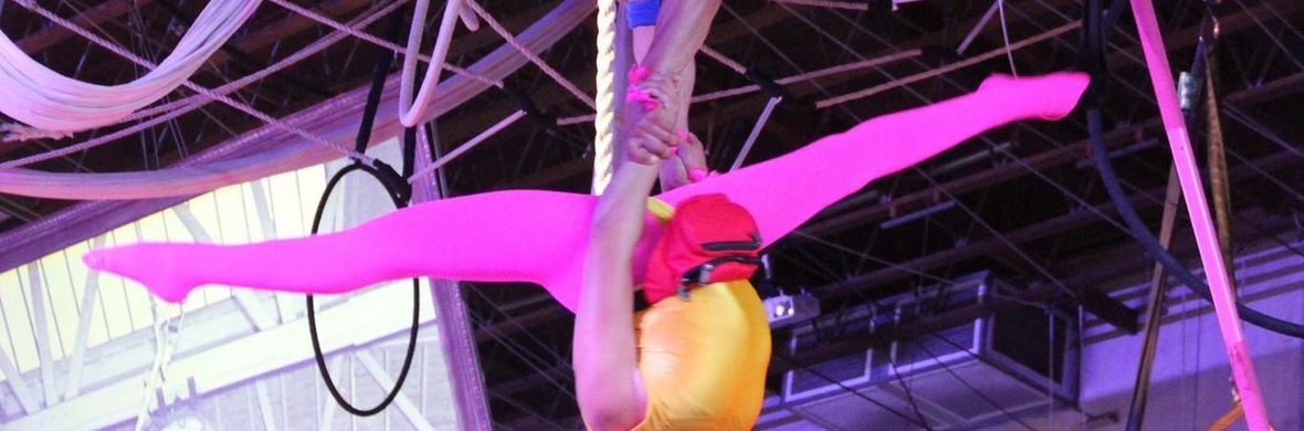 Hanging Perch - Performing Arts Acts - StageLync