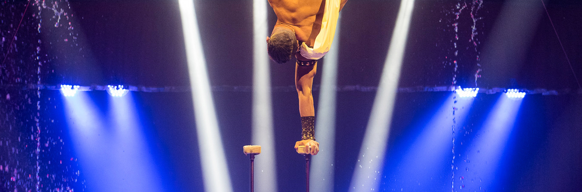 STRONG HAND STAND/AERIAL STRAPS DUO ACTS. - Performing Arts Acts - StageLync