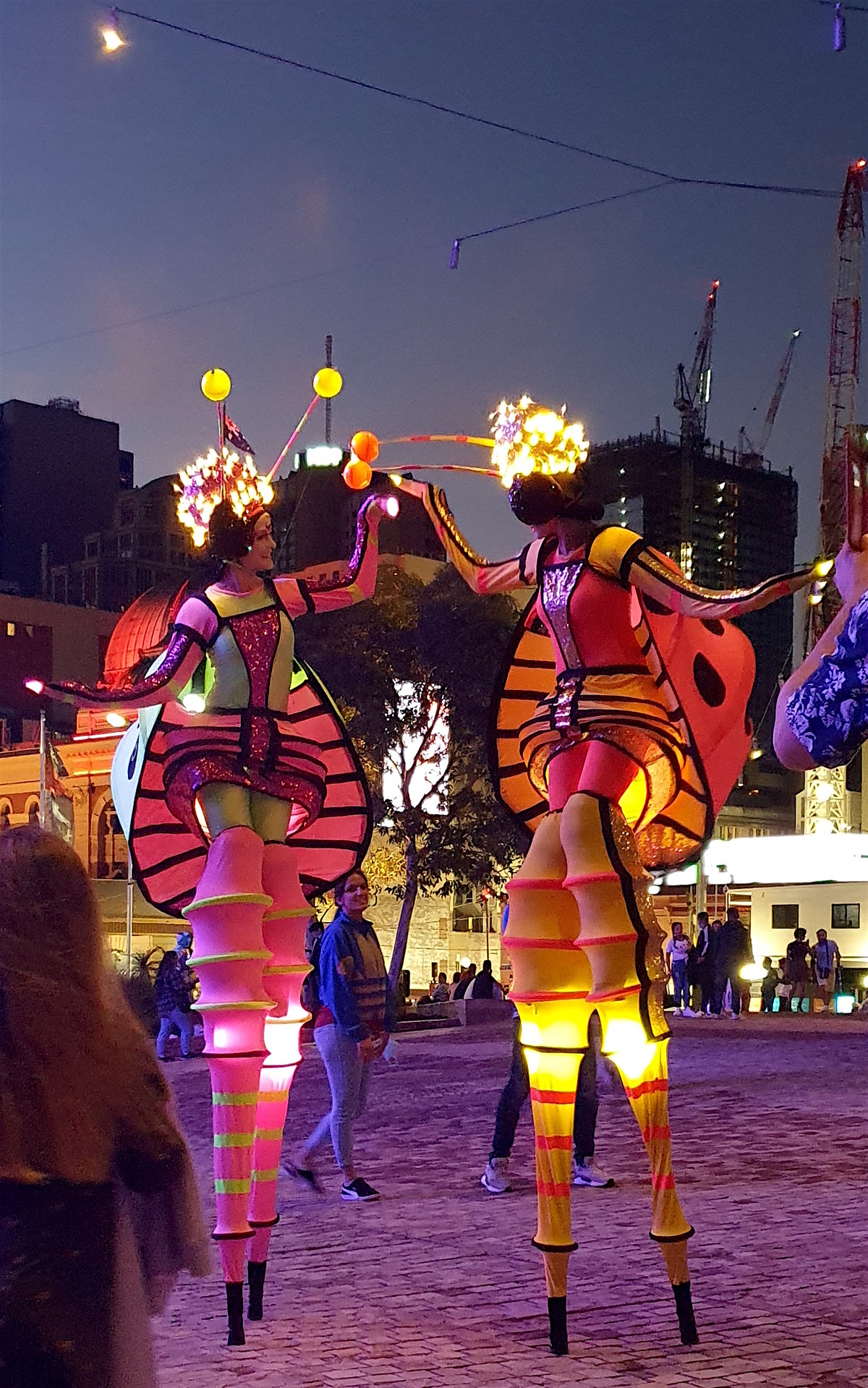 Illuminated Stilt Acts - Magical evenings
