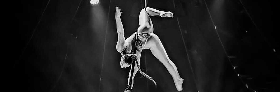 DISCO - Performing Arts Acts - StageLync