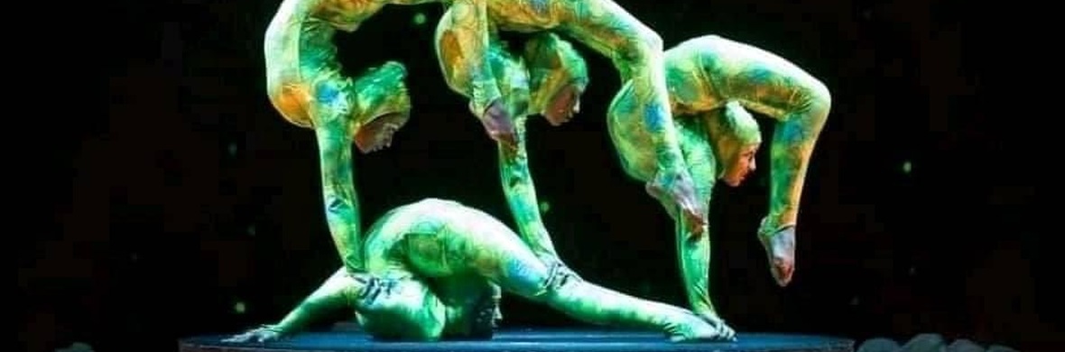 Group contortion  - Performing Arts Acts - StageLync