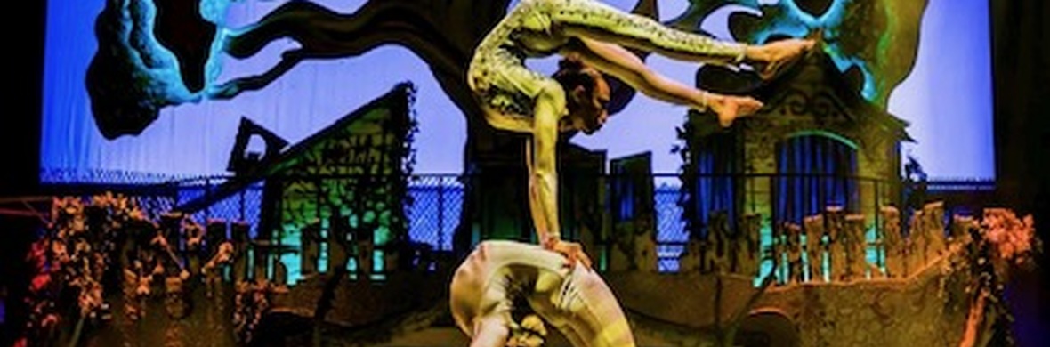 Group contortion Queens  - Performing Arts Acts - StageLync