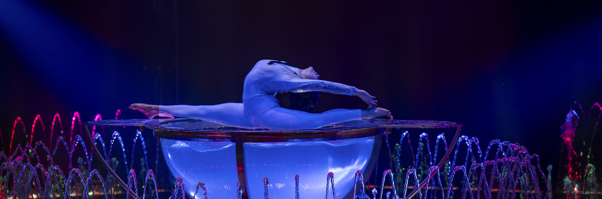 SIREN - Performing Arts Acts - StageLync