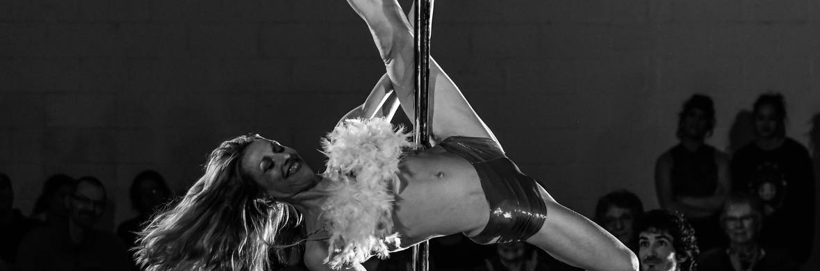 Gladys the hunsband hunter - Performing Arts Acts - StageLync