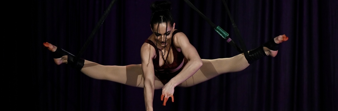 "Wanted" - Aerial Hoop - Performing Arts Acts - StageLync