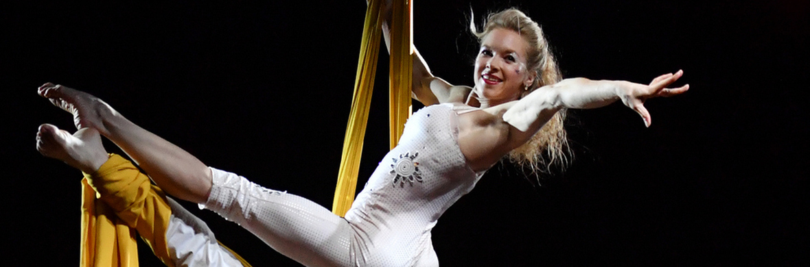 Aerial Silks Acrobatics  - Performing Arts Acts - StageLync
