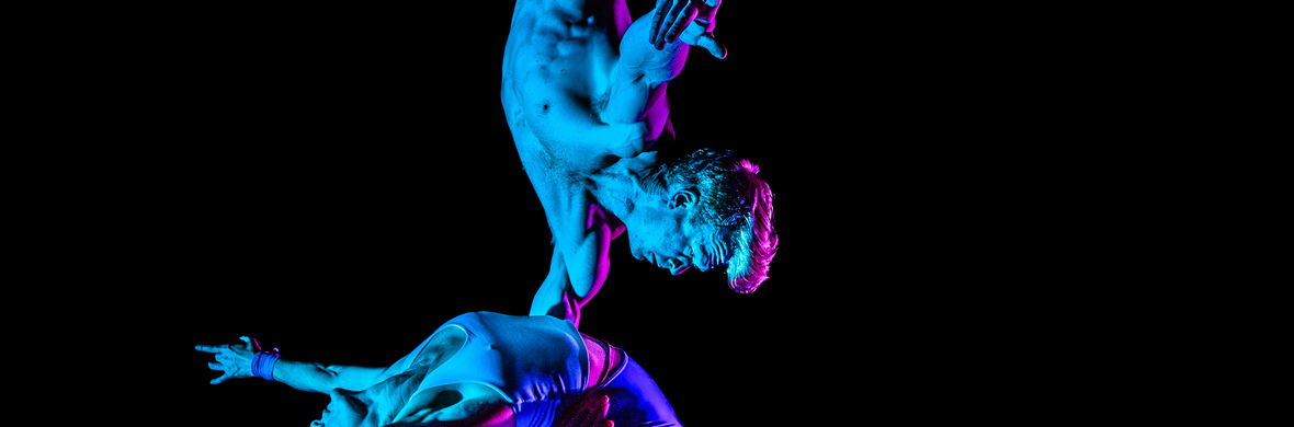 Duo Trapeze  - Performing Arts Acts - StageLync
