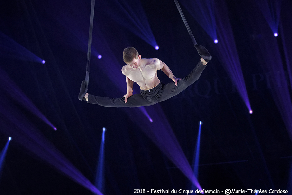 Nature Boy (aerial straps)