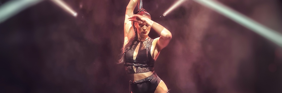 Pole dance act - Performing Arts Acts - StageLync