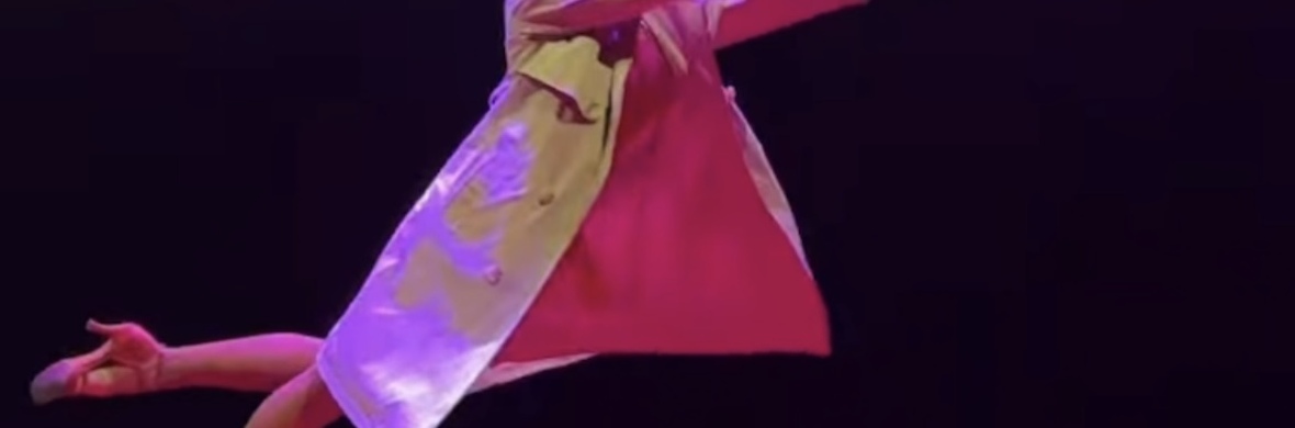 Hairhanging - Performing Arts Acts - StageLync