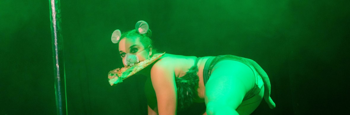 Pizza Rat - Performing Arts Acts - StageLync