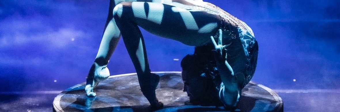 Contortion/Pole/Aerial/Flying Pole  - Performing Arts Acts - StageLync