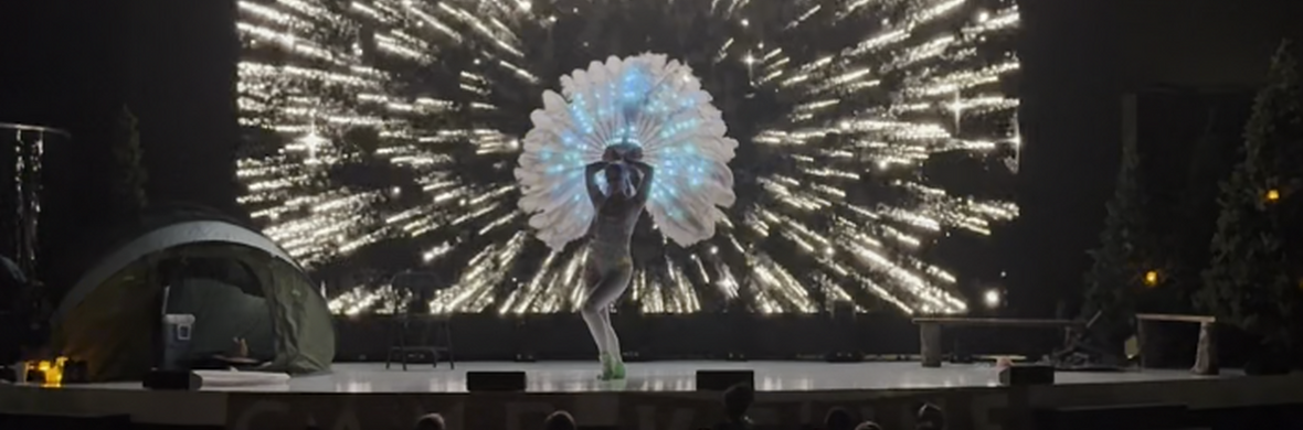 Shimmer - Immersive LED Stage Show - Performing Arts Shows - StageLync