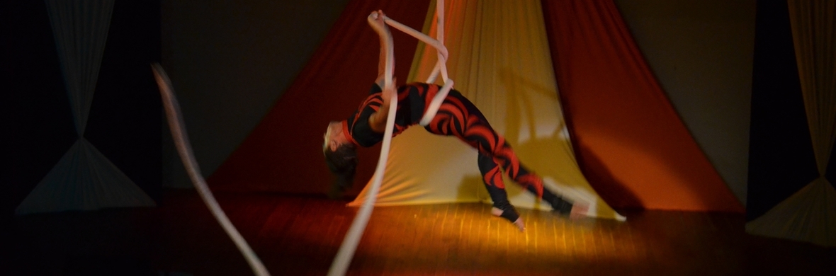 Electrotango Corde Lisse - Performing Arts Acts - StageLync