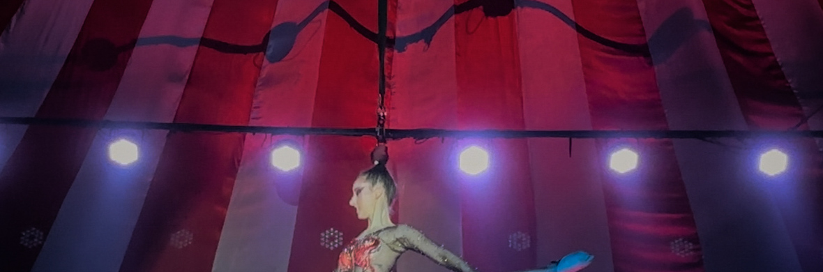 Ley de suspensión del cabello - Performing Arts Acts - StageLync
