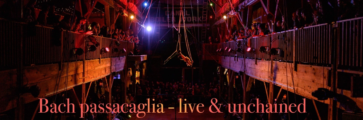 Bach Passacaglia - Aerial Chains Performance  - Performing Arts Acts - StageLync
