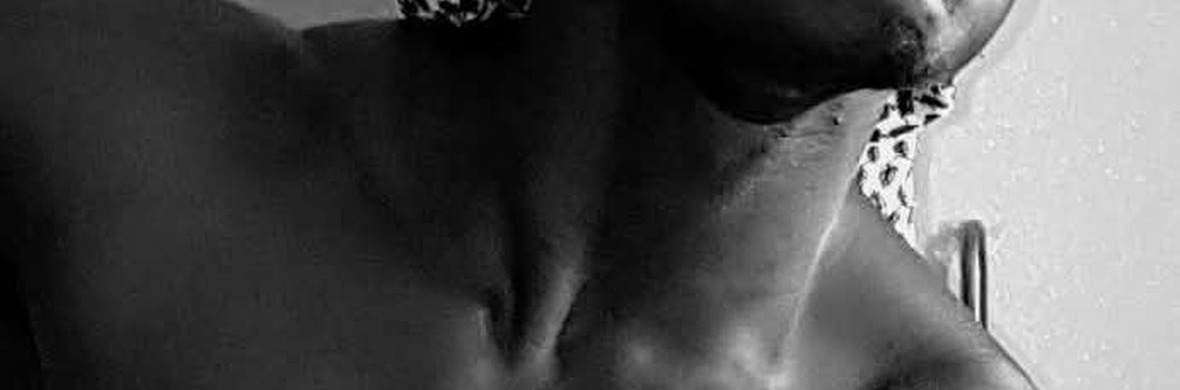 Aerial Straps - Performing Arts Acts - StageLync