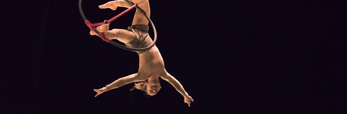 Aerial hoop solo act - Performing Arts Acts - StageLync