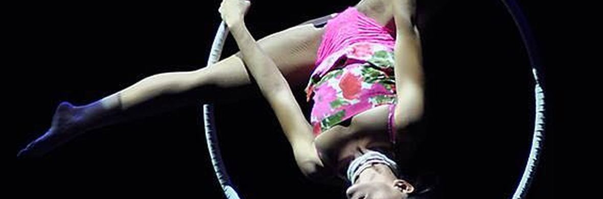Calle Carders - Performing Arts Shows - StageLync