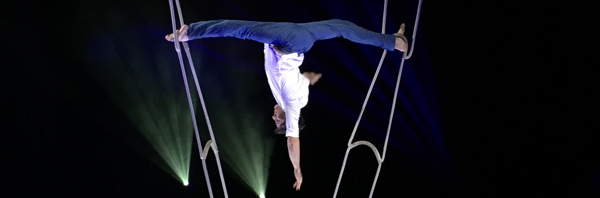aerial ladder - Performing Arts Acts - StageLync