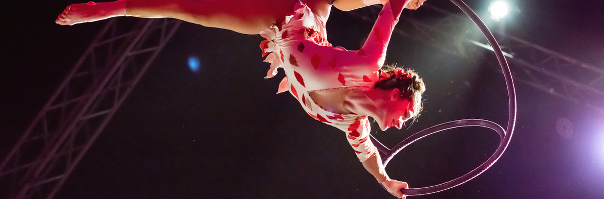 Aerial Halo - Performing Arts Acts - StageLync