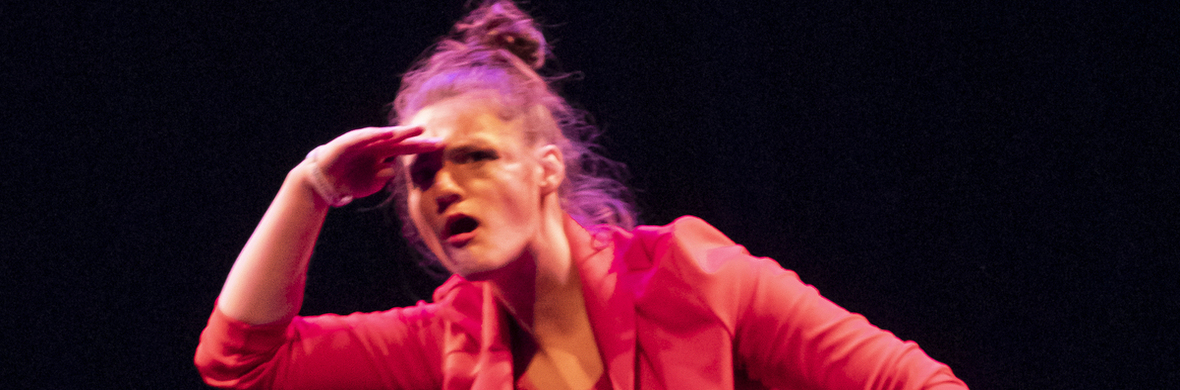 THE RVT ACROBAT JOURNEY - Performing Arts Acts - StageLync