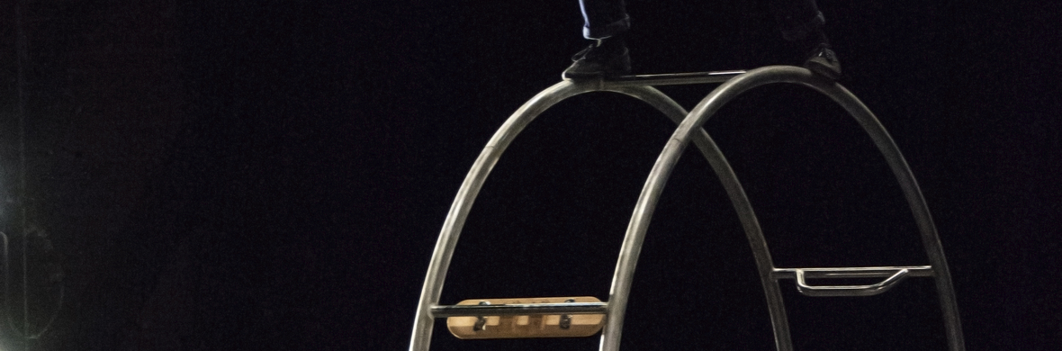 Samuelle McGowan - German wheel - Performing Arts Acts - StageLync