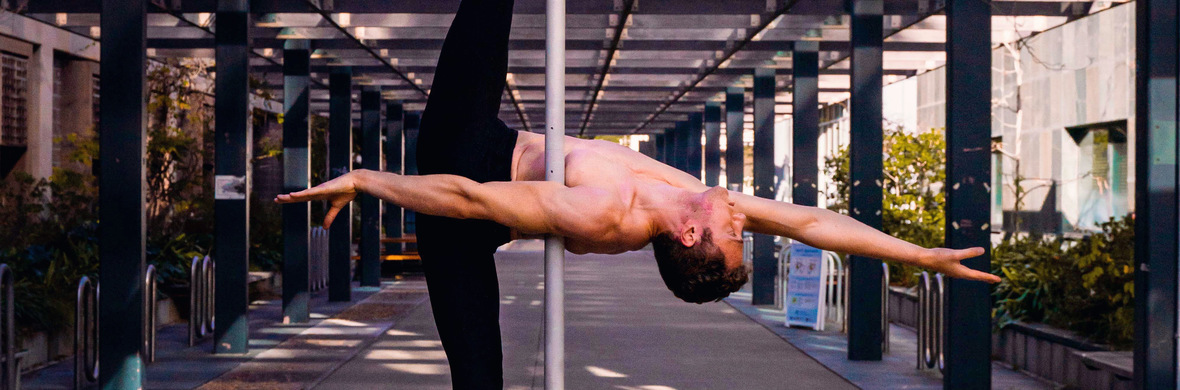 Flying Pole Act - Ron Oppenheimer - Performing Arts Acts - StageLync