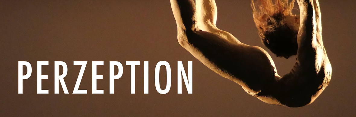 PERZEPTION - Performing Arts Shows - StageLync