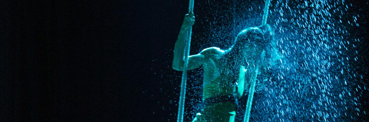 Wave - Performing Arts Acts - StageLync