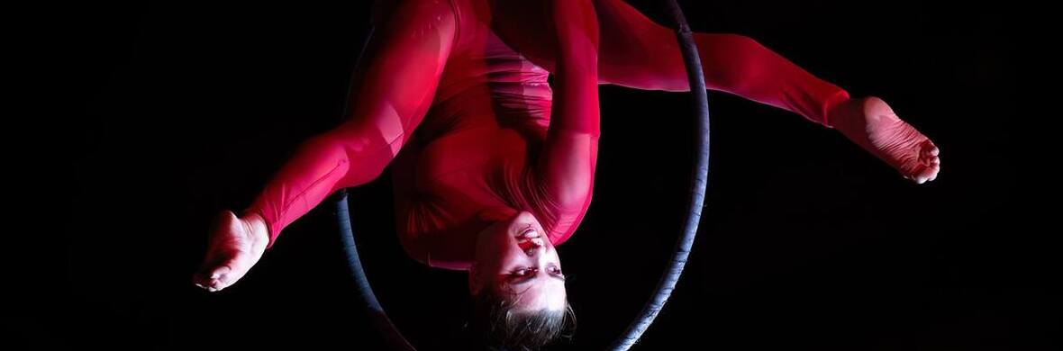 Aerial Lyra - Performing Arts Acts - StageLync