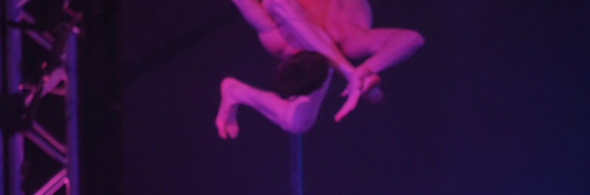 Pole Solo - Performing Arts Acts - StageLync