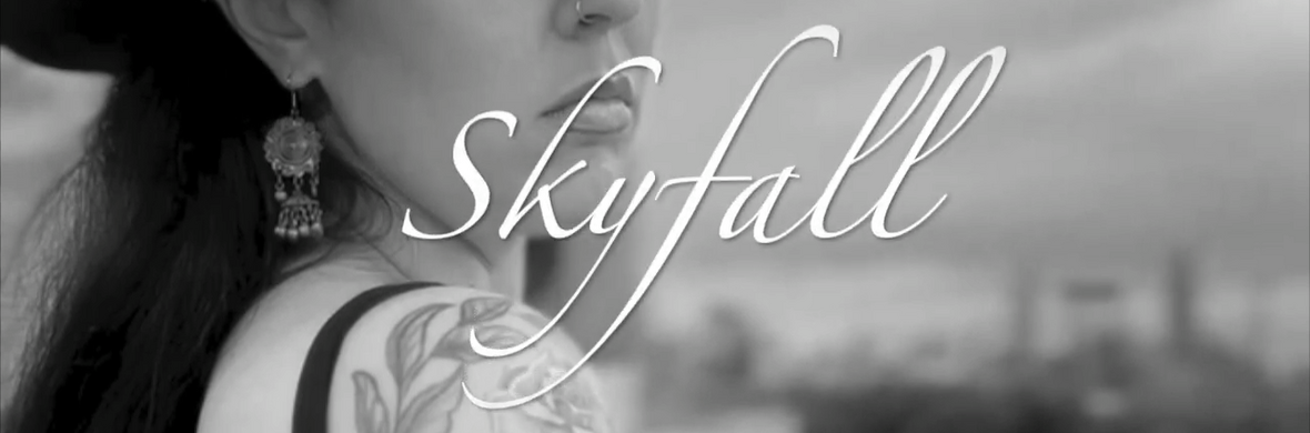 SkyFall - Performing Arts Acts - StageLync