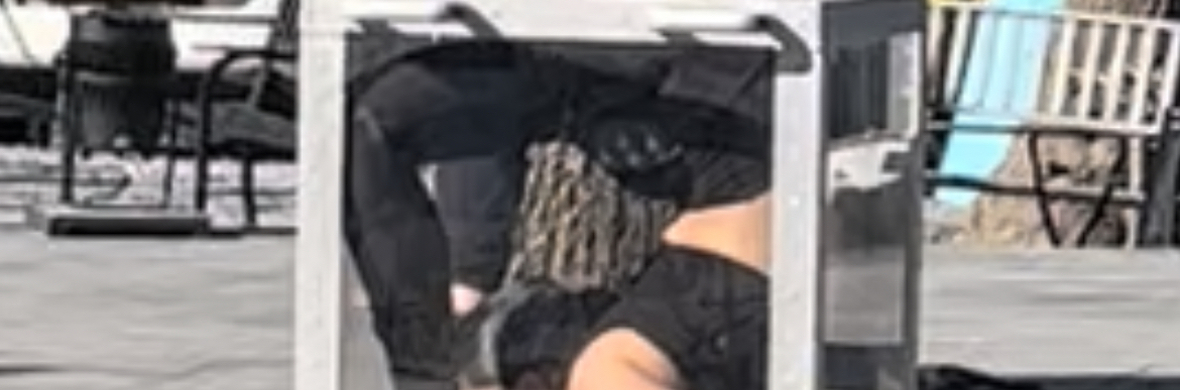 Contortion Dance Box - Performing Arts Acts - StageLync
