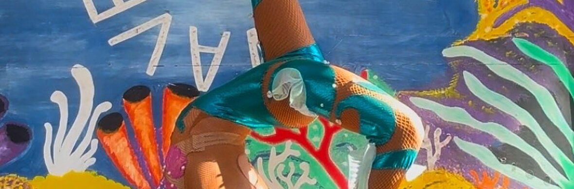 MERMAID CONTORTION - Performing Arts Acts - StageLync