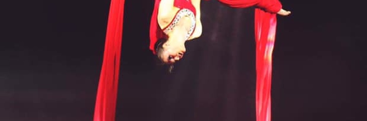 aerial silk - Performing Arts Acts - StageLync