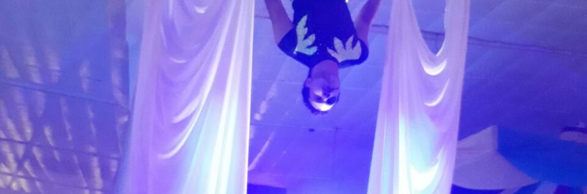 Aerial Silk Gabriel Matheus - Performing Arts Acts - StageLync