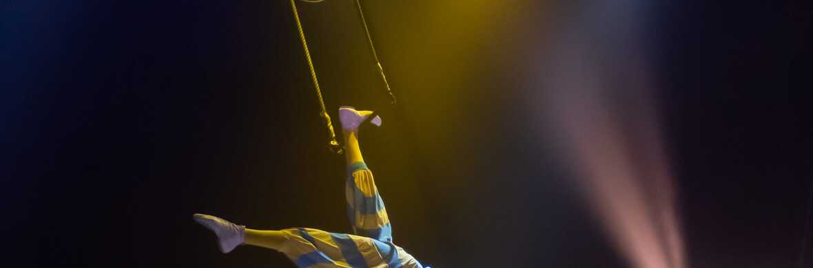 Skywalk Trapeze (Solo) - Performing Arts Acts - StageLync