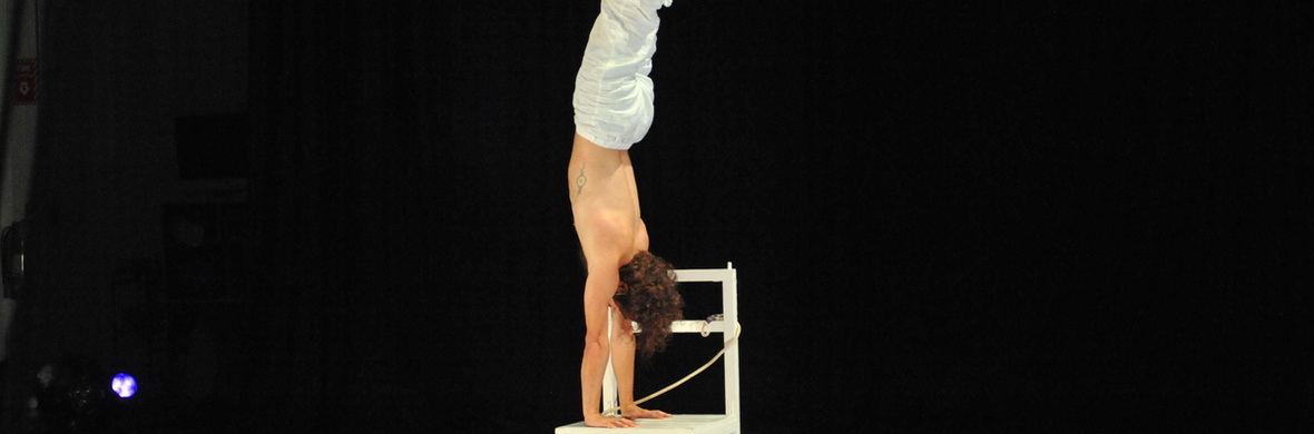Performance Boot Camp Show - Performing Arts Shows - StageLync