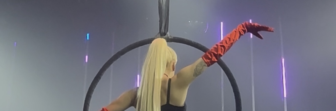 Aerial Performer / Aerial acts  - Performing Arts Acts - StageLync