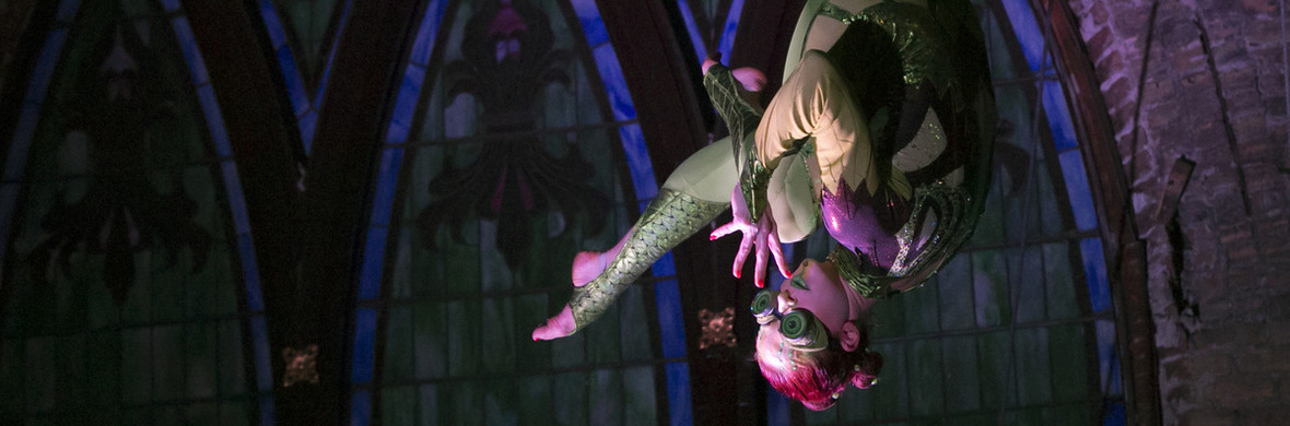 Clockwork Chameleon - Static Trapeze - Performing Arts Acts - StageLync