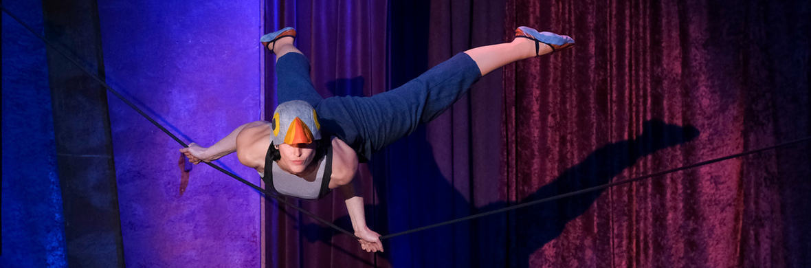 Bird on a Wire - Performing Arts Acts - StageLync