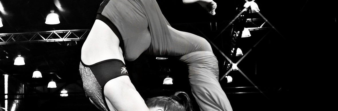 Aerial Silks - Circus Acts - CircusTalk