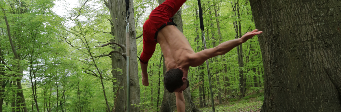 Washington trapeze act "Un día como este" - Performing Arts Acts - StageLync