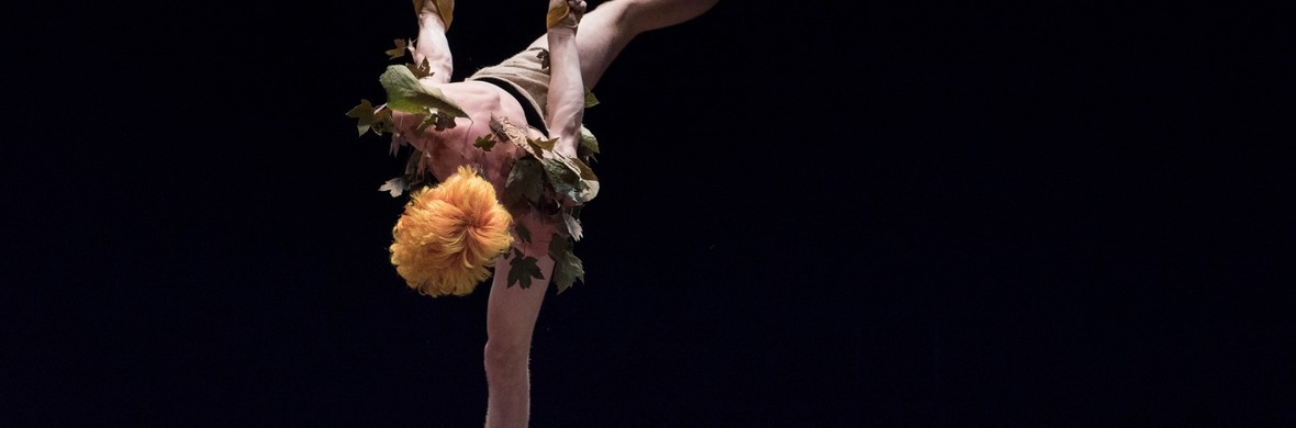 Extinction Du Solide - Performing Arts Acts - StageLync