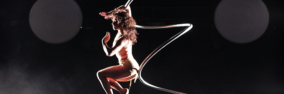 the dark side , aerial spiral  - Performing Arts Acts - StageLync