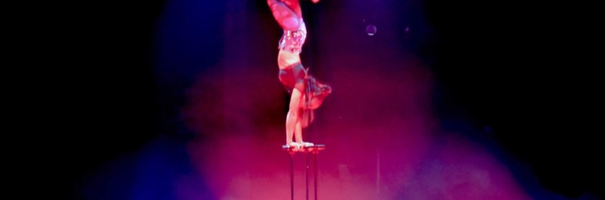 Shenea Stiletto Handbalancer  - Performing Arts Acts - StageLync