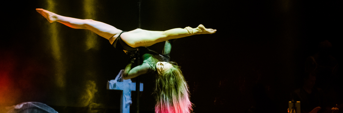 Pole dance - Performing Arts Acts - StageLync