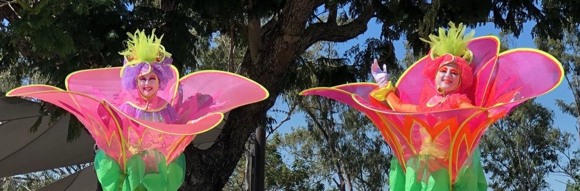 Flowers - Performing Arts Acts - StageLync