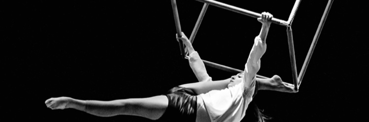 Cold  - Performing Arts Acts - StageLync
